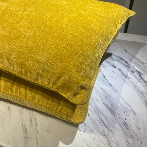 Urban Barn Clooney Cushions Throw pillows in Dijon 24” x 24” set of 2 - Picture 7 of 11